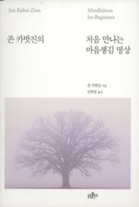 존 카밧진의 처음 만나는 마음챙김 명상