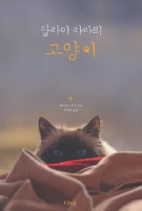 달라이라마의 고양이