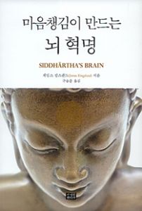 마음챙김이 만드는 뇌 혁명