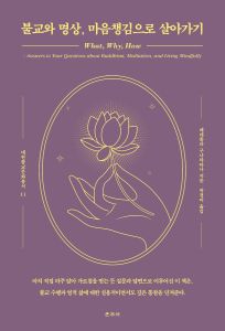 불교와 명상 마음챙김으로 살아가기(대원불교문화총서11)