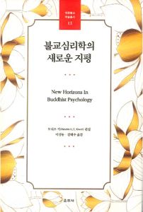 불교심리학의 새로운 지평(대원불교학술총서13)