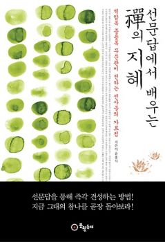 선문답에서 배우는 선의 지혜(개정판)