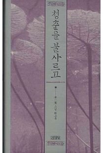 청춘을 불사르고