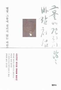 그물에 걸리지 않는 바람처럼