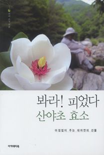 봐라! 피었다 산야초 효소