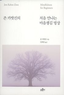 존 카밧진의 처음 만나는 마음챙김 명상