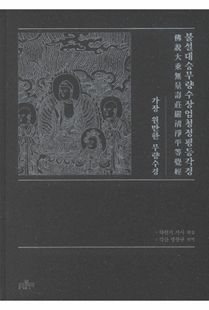 불설대승무량수장엄청정평등각경