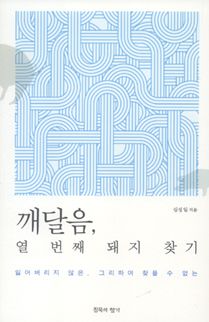 깨달음, 열 번째 돼지 찾기