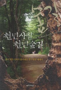 천년사찰 천년숲길