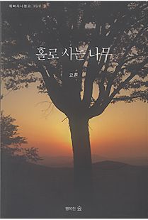 홀로 사는 나무