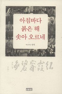 아침바다 붉은 해 솟아 오르네