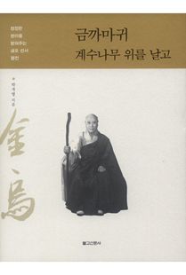 금까마귀 계수나무 위를 날고