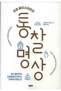 (조셉 골드스타인의) 통찰 명상