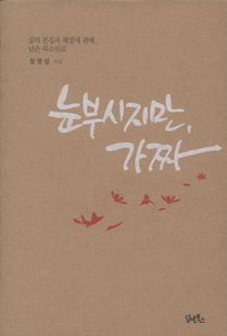 눈부시지만, 가짜