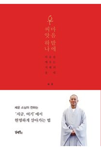 마음밭의 씨앗하나