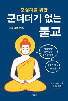 초심자를 위한 군더더기 없는 불교 (대원불교문화총서12)