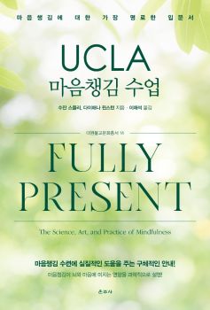UCLA 마음챙김 수업 (대원불교문화총서14)