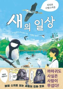 새의 일상(의외로 사랑스러운)